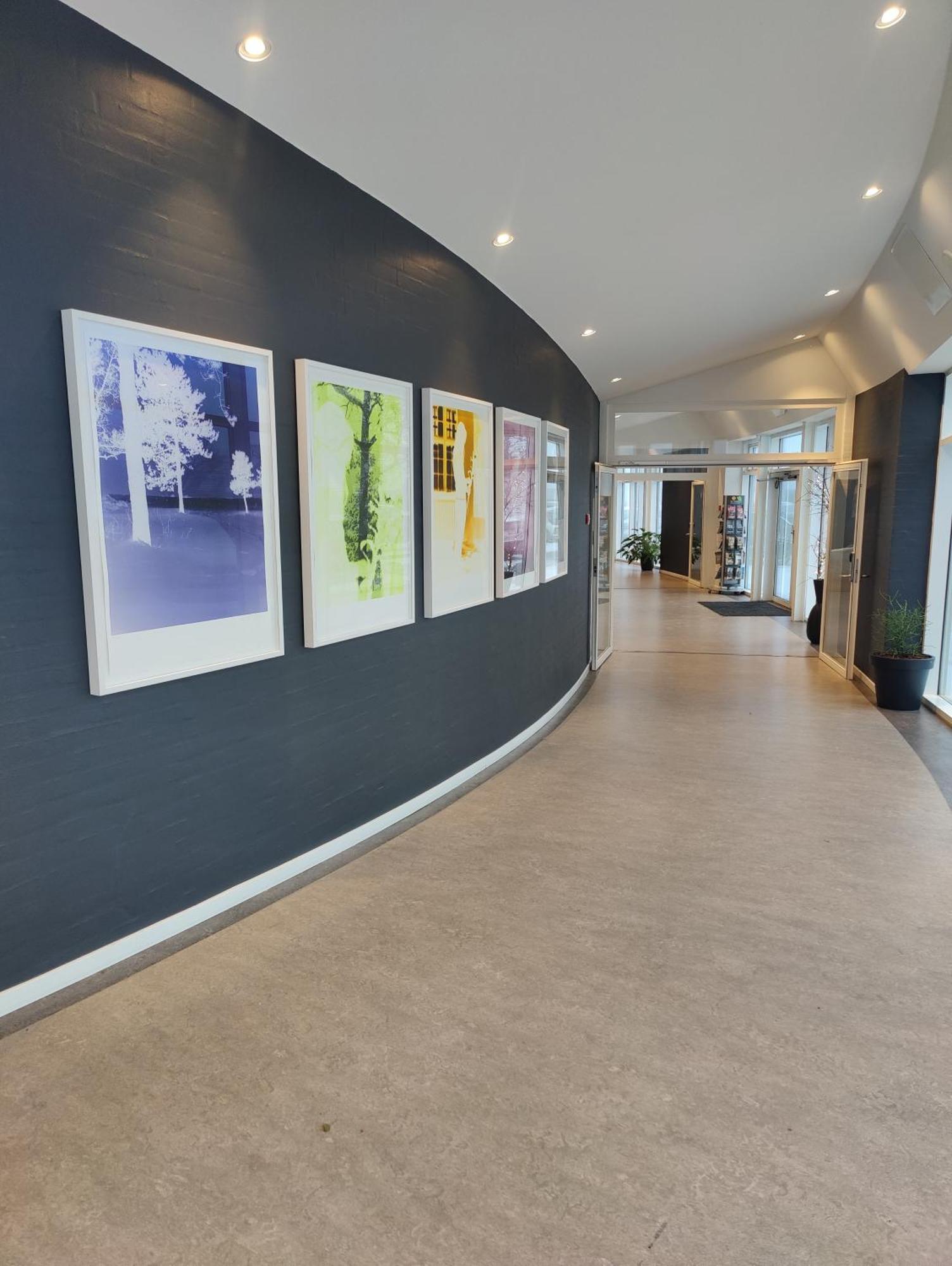 Storebaelt Sinatur & Konference Hotel 3*