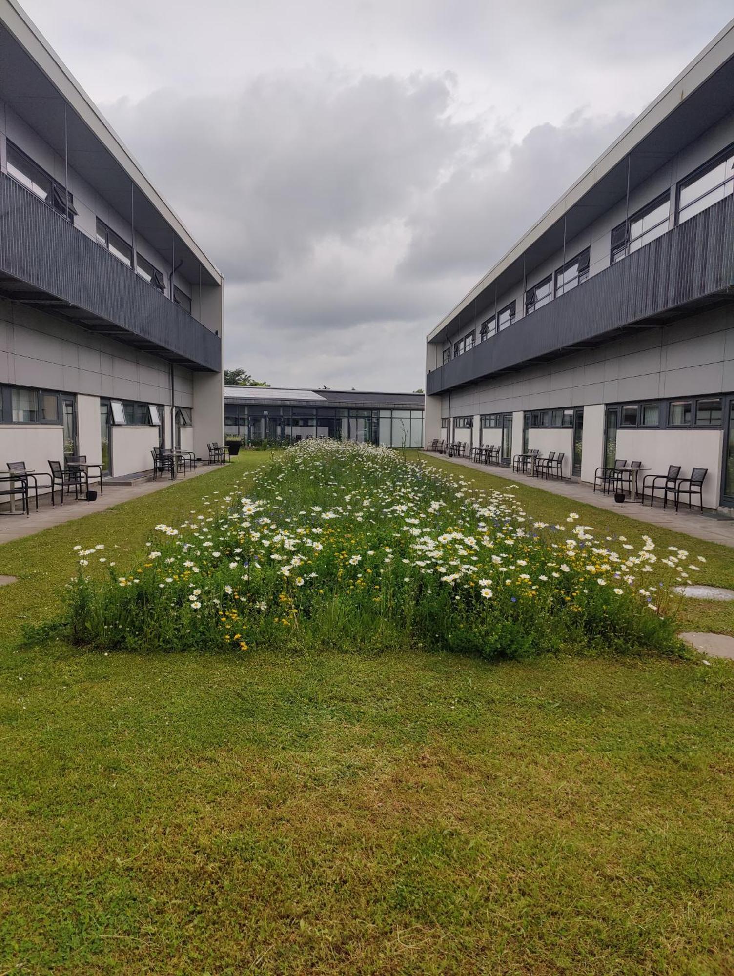 Hotel Storebaelt Sinatur & Konference 3*