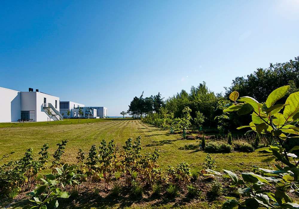 Storebaelt Sinatur & Konference 3* Nyborg